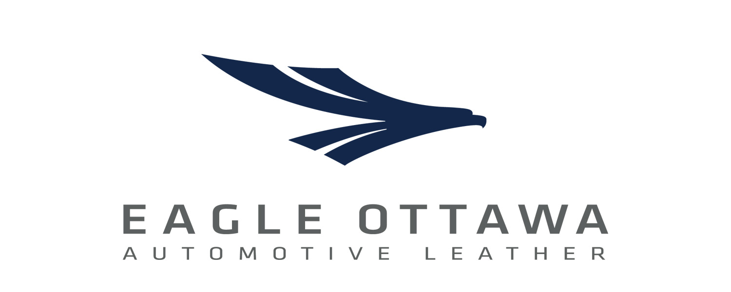 Image result for eagle ottawa logo